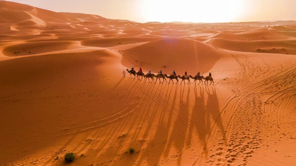 sun site camel trekking in Morocco Sahara Desert