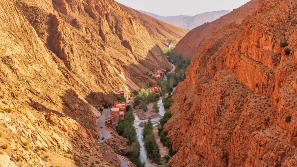 A vibrant, green valley in Morocco during spring, with blooming wildflowers in Atlas Mountains Dades Valley.